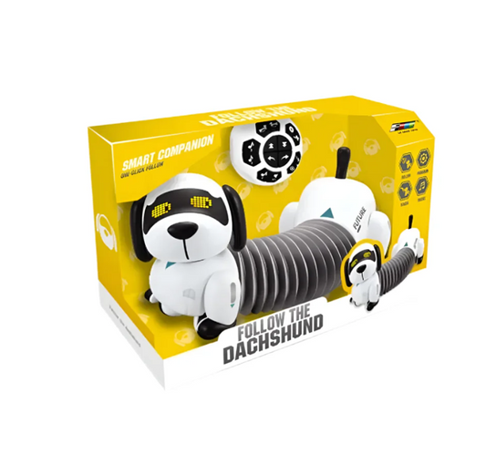 Chien Robot Télécommandé Programmable