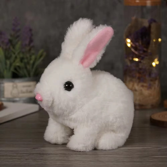 Ensemble Maison de Lapin en Peluche